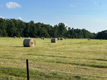 Timberland Property for sale in Howell County, Missouri