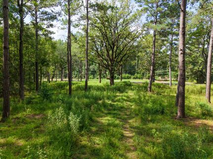Timberland Property for sale in Houston County, Texas