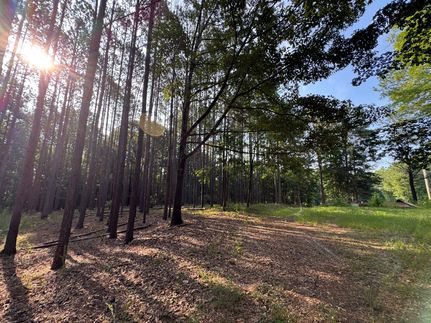 Timberland Property for sale in Lee County, Alabama