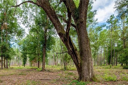 Recreational Property for sale in Baker County, Georgia