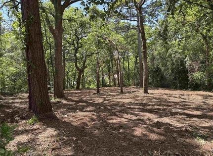 Undeveloped Land for sale in Smith County, Texas