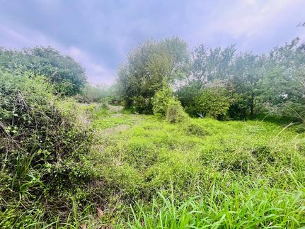 Timberland Property for sale in Cameron County, Texas