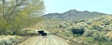 Farm and Ranch for sale in Pershing County, Nevada