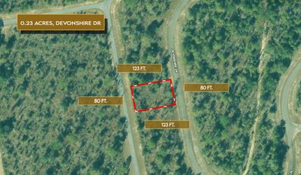 Undeveloped Land for sale in Washington County, Florida