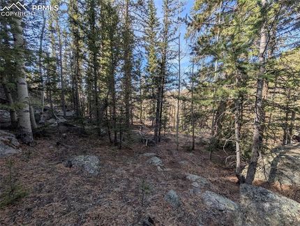 Farm and Ranch for sale in Park County, Colorado