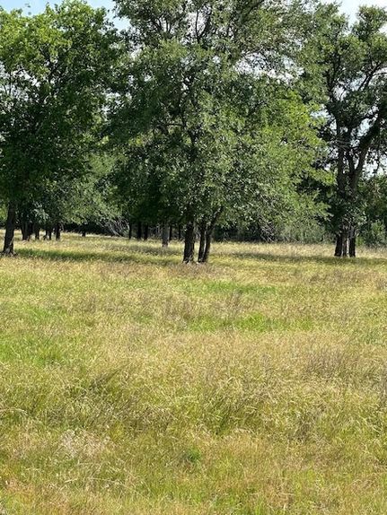 Farm and Ranch for sale in Hill County, Texas