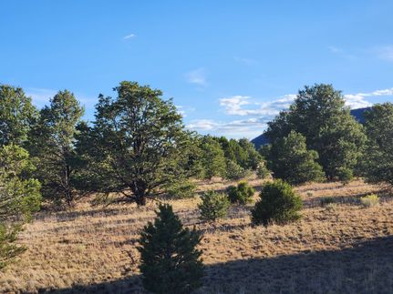 Land for sale in Catron County, New Mexico