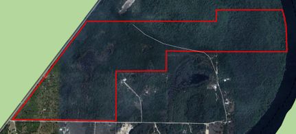 Timberland Property for sale in Dixie County, Florida