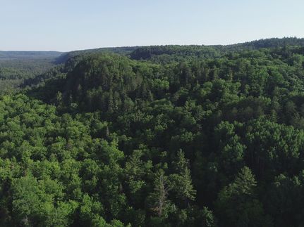 Timberland Property for sale in Marquette County, Michigan