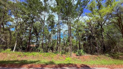 Timberland Property for sale in Marion County, Florida
