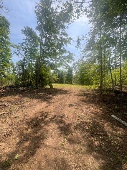 Timberland Property for sale in Aroostook County, Maine