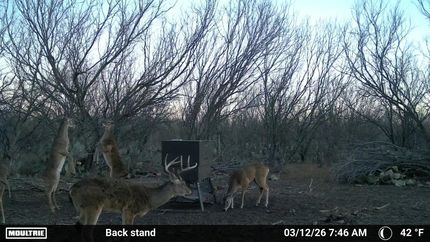 Farm and Ranch for sale in Live Oak County, Texas