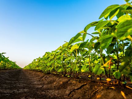 Farm and Ranch for sale in Desha County, Arkansas