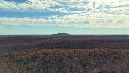Farm and Ranch for sale in Wayne County, Missouri