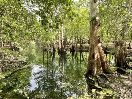 Recreational Property for sale in Gilchrist County, Florida