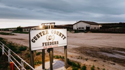 Undeveloped Land for sale in Custer County, Nebraska