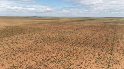 Undeveloped Land for sale in Cochran County, Texas