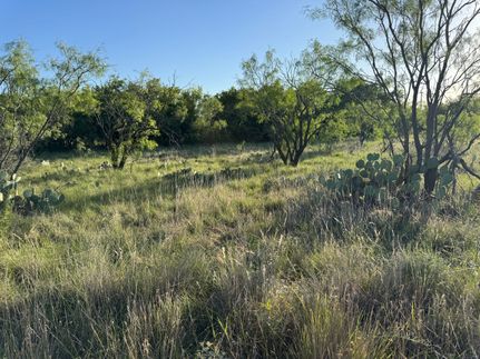Land for sale in Mitchell County, Texas