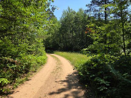 Timberland Property for sale in Oneida County, Wisconsin