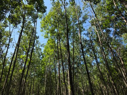 Recreational Property for sale in Oneida County, Wisconsin