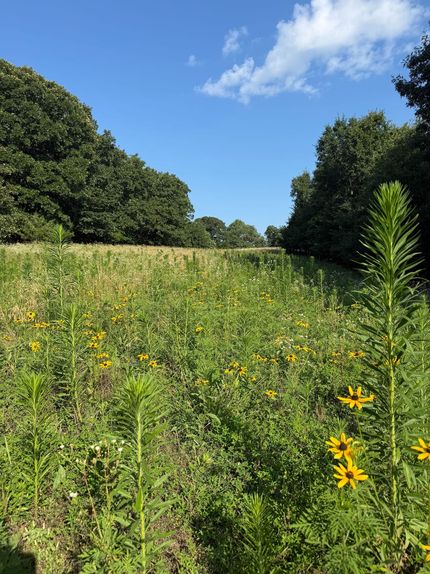 Recreational Property for sale in Macon County, Missouri