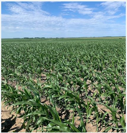 Farm and Ranch for sale in Cuming County, Nebraska