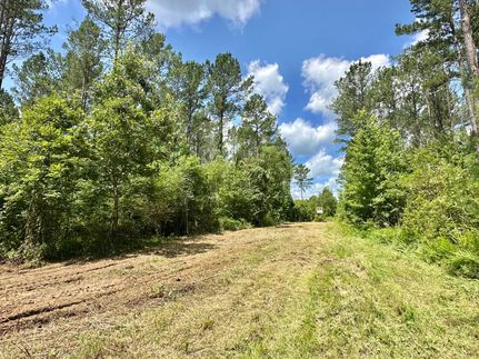Land for sale in Leake County, Mississippi