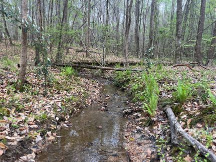 Undeveloped Land for sale in Tallapoosa County, Alabama