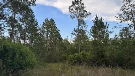 Land for sale in Jackson County, Mississippi