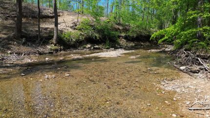 Farm and Ranch for sale in Perry County, Tennessee