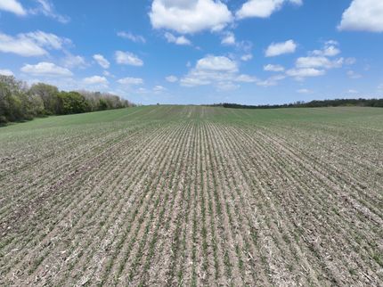 Farm and Ranch for sale in Grant County, Minnesota