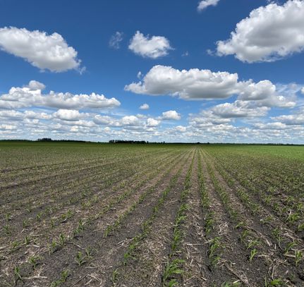 Farm and Ranch for sale in Pembina County, North Dakota