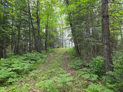 Land for sale in Vilas County, Wisconsin