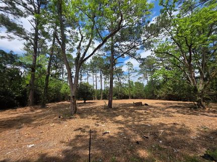Lakefront Property for sale in Grady County, Georgia