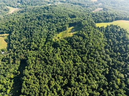 Timberland Property for sale in Holmes County, Ohio