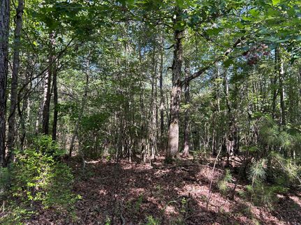 Timberland Property for sale in Wilcox County, Alabama