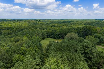 Farm and Ranch for sale in Panola County, Texas