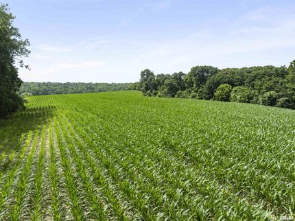 Land for sale in Fulton County, Illinois