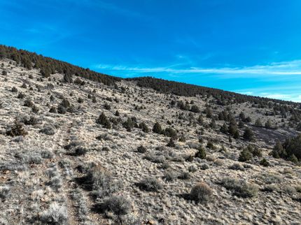 Farm and Ranch for sale in Harney County, Oregon