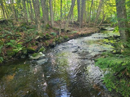 Recreational Property for sale in Piscataquis County, Maine