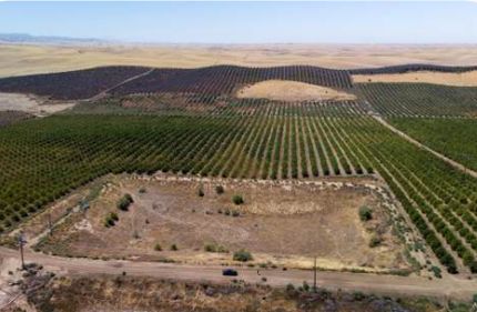 Land for sale in Tulare County, California