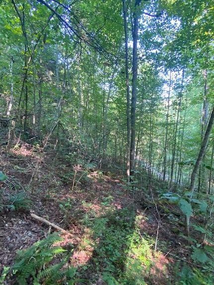 Farm and Ranch for sale in Fentress County, Tennessee
