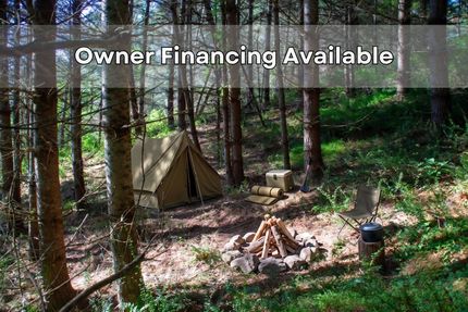 Timberland Property for sale in Ashe County, North Carolina