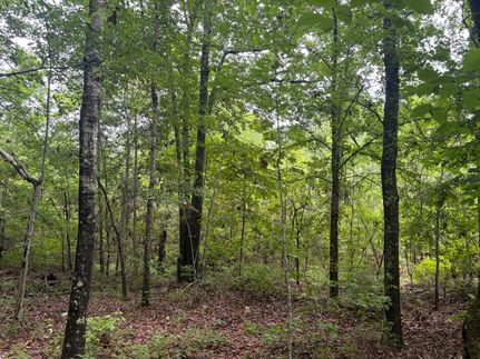 Farm and Ranch for sale in Macon County, Alabama