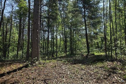 Recreational Property for sale in Oneida County, Wisconsin
