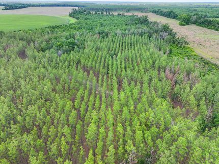 Land for sale in Madison County, Florida