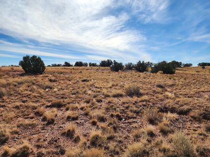 Lakefront Property for sale in Apache County, Arizona