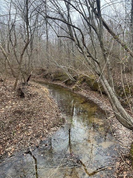 Land for sale in Butler County, Missouri