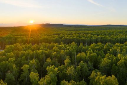 Timberland Property for sale in Matanuska-Susitna Borough, Alaska