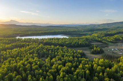 Timberland Property for sale in Matanuska-Susitna Borough, Alaska